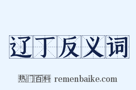 辽丁反义词是什么意思的图片